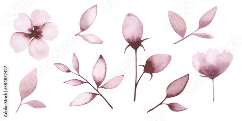 A set of beautiful, delicate, isolated on a white background, watercolor, textural, lilac, pink flowers, branches with buds and leaves. Drawn by hand. For holiday, wedding, decoration and design.