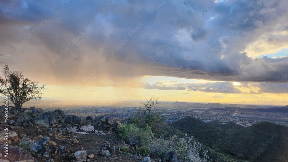 rain in the desert