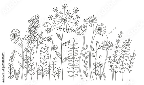 Beautiful flowers isolated on white background. vector illustration 