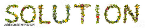 Fototapeta Naklejka Na Ścianę i Meble -  Colorful Blooming Flower Letters Building Word Solution