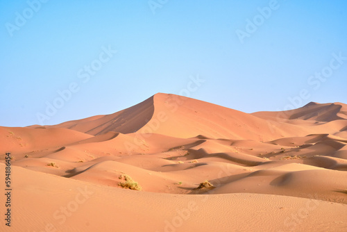 Landscape shot of Dunes in the Sahara desert, Morocco, on a clear blue sky day.