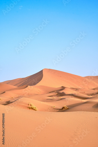 Portrait shot of dunes in the Sahara desert, Morocco, on a clear blue sky day.