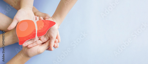Hands holding healthy liver, organ donation, hepatitis vaccination, liver cancer treatment, world hepatitis day photo