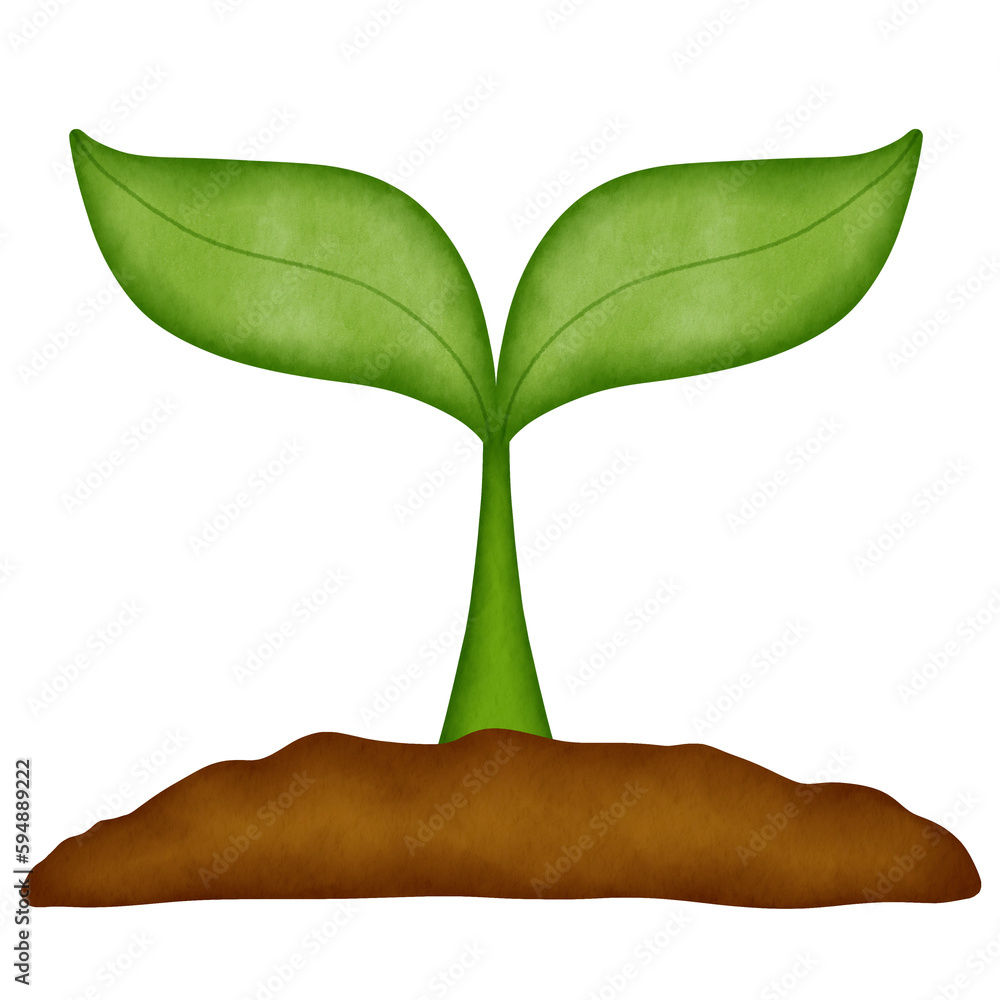 growing plant watercolor illustration growing plant watercolor illustration