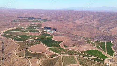 Bird's eye view establishing an oasis-like vineyard hidden among the arid mountains of the Fray Jorge, Limarí Valley, Chile photo