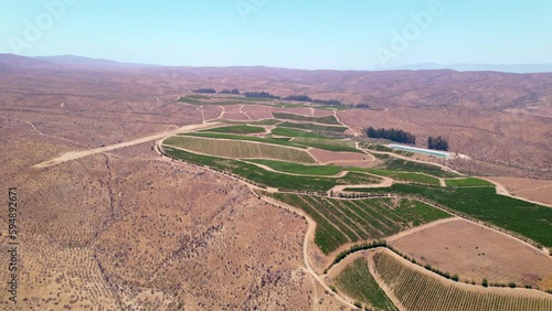 Drone flyover of a vineyard hidden among arid mountains on a sunny, clear day in the Limarí Valley in Fray Jorge, Chile. photo