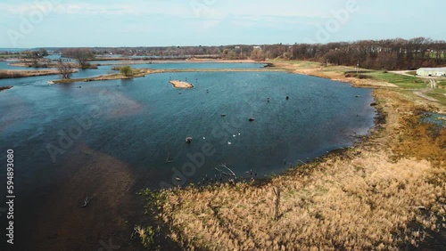 Rotating around various birds on the river's sruface. photo