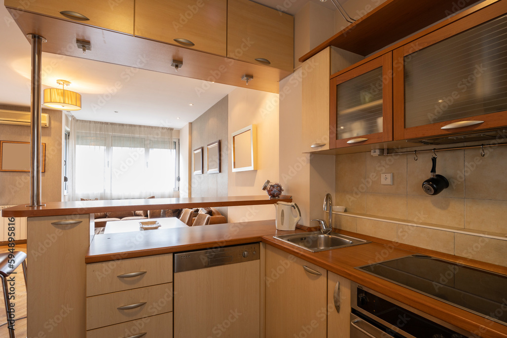Kitchen interior with appliances and wood elements Kitchen interior with appliances and wood elements
