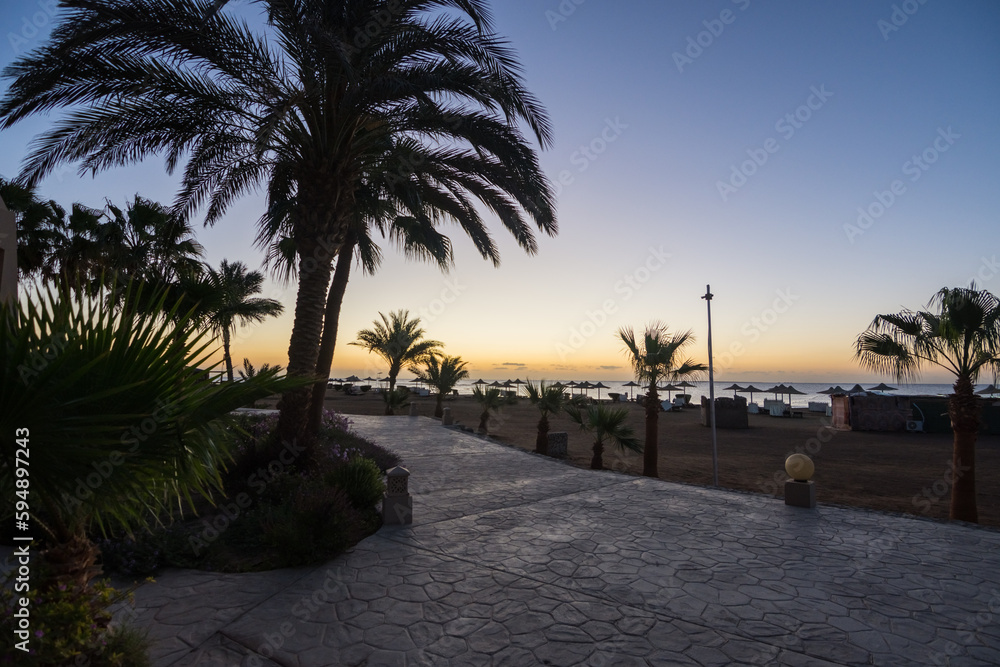 view through the resort with palms to the beach before sunrise on vacation in egypt