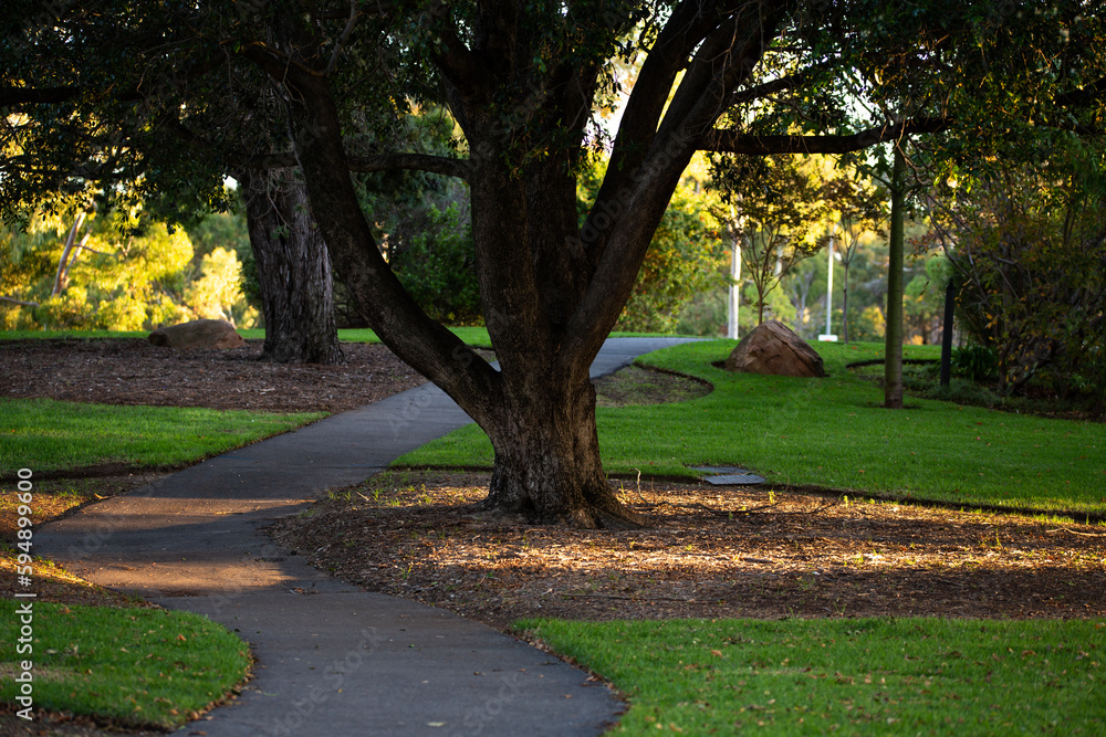 beautiful sunset lighting on a walk path at Adelaide parklands