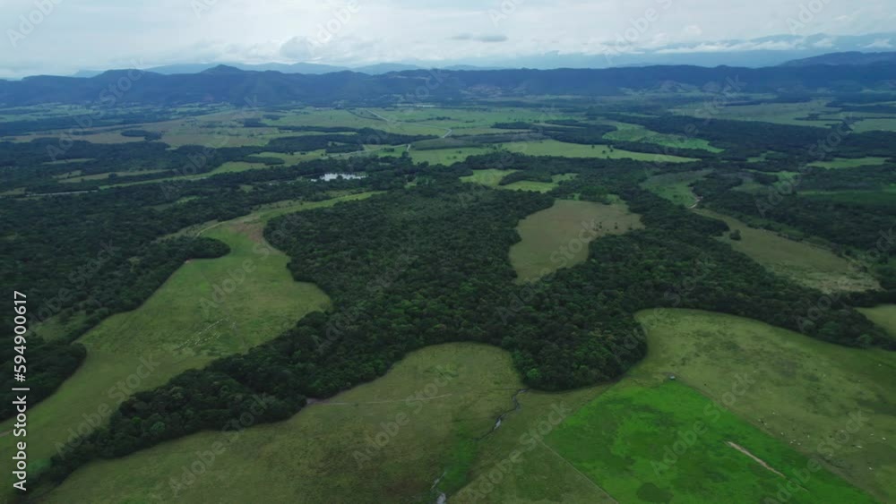 Scenic aerial view of a lush forest captured by a drone flying above the treetops. Scenic aerial view of a lush forest captured by a drone flying above the treetops.