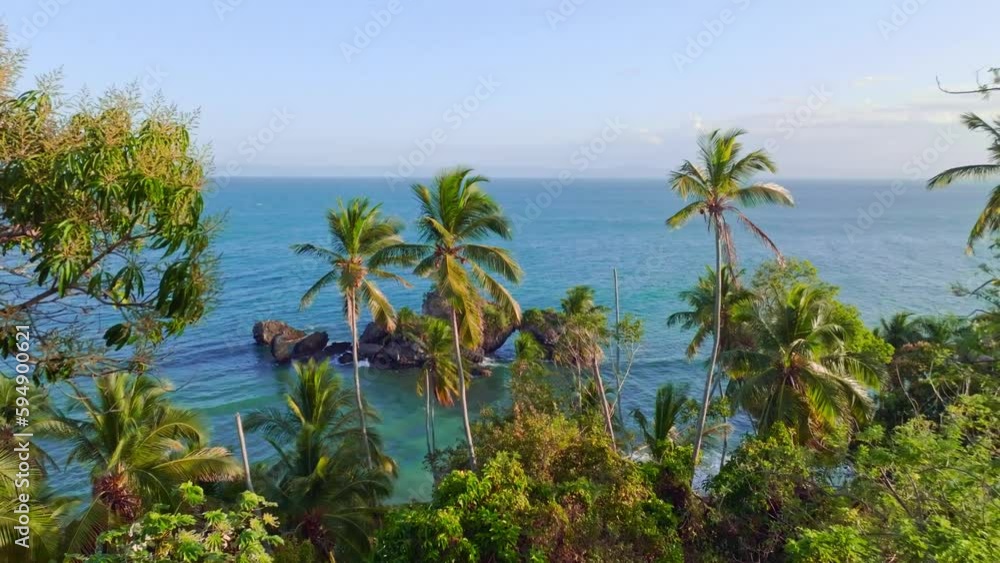 Aerial view over jungle and palm trees, towards the tranquil sea. during golden hour Aerial view over jungle and palm trees, towards the tranquil sea. during golden hour
