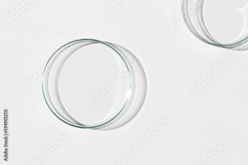 Empty Petri dish. On a white background. Bright sunlight. Deep shadows. Contrast. Laboratory. Petri dishes.
