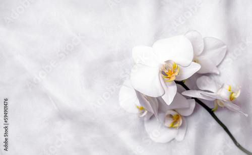 Fototapeta Naklejka Na Ścianę i Meble -  The branch of white orchids on white fabric background
