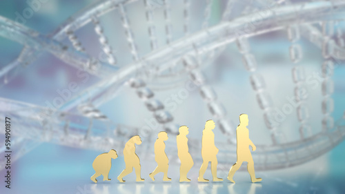 The human evolution image for education or sci concept 3d rendering