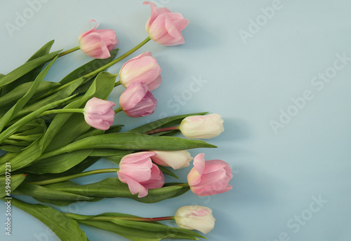 Fototapeta Naklejka Na Ścianę i Meble -  Pink tulips on a blue background. Bouquet. Overhead view