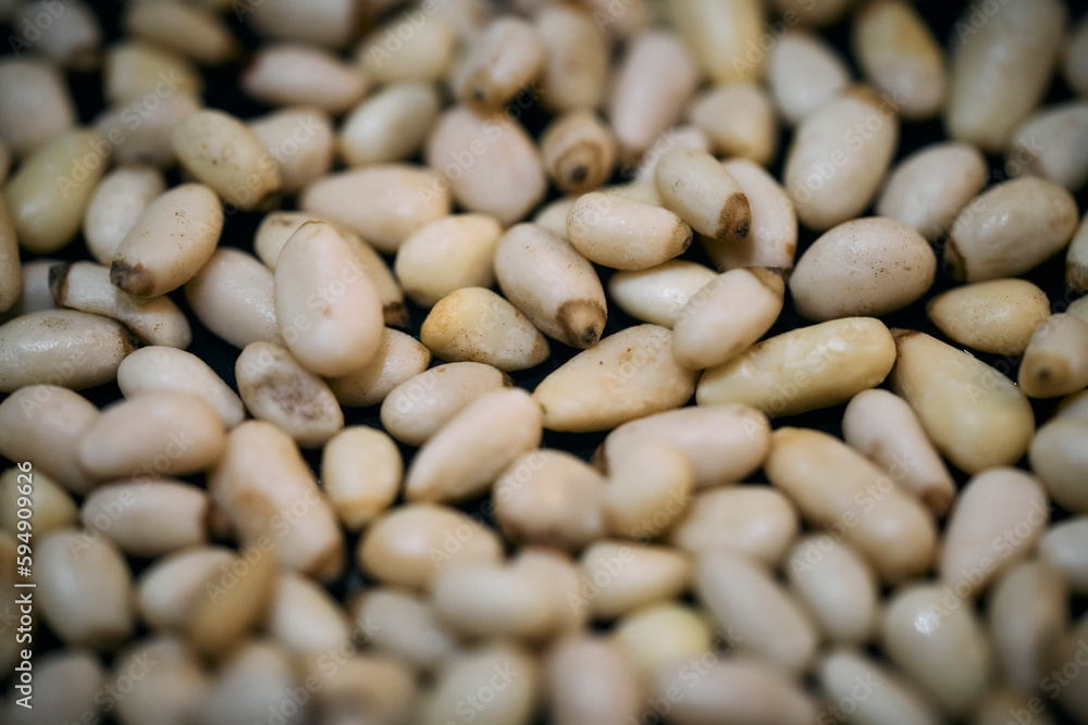 Still life close up of pine nuts
Still life close up of pine nuts