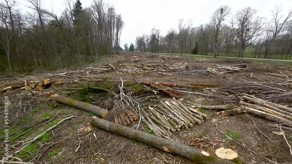 Deforestation causing sparsely vegetated land susceptible to erosion. POV shot Deforestation causing sparsely vegetated land susceptible to erosion. POV shot