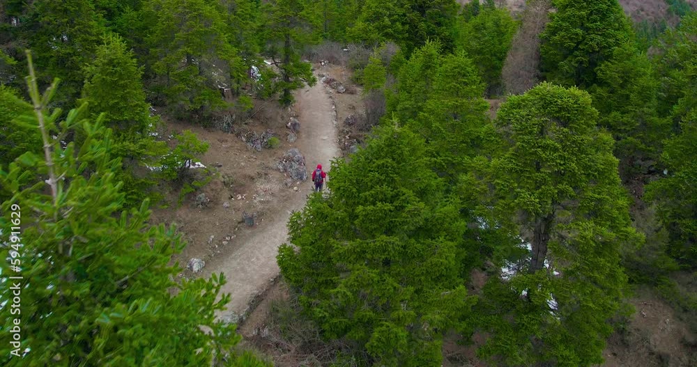 Mesmerizing view of a lone man in a red jacket walking through the lush green forest of Manaslu Circuit in Nepal. The serene surroundings and the man's journey make for an awe-inspiring experience. Mesmerizing view of a lone man in a red jacket walking through the lush green forest of Manaslu Circuit in Nepal. The serene surroundings and the man's journey make for an awe-inspiring experience.