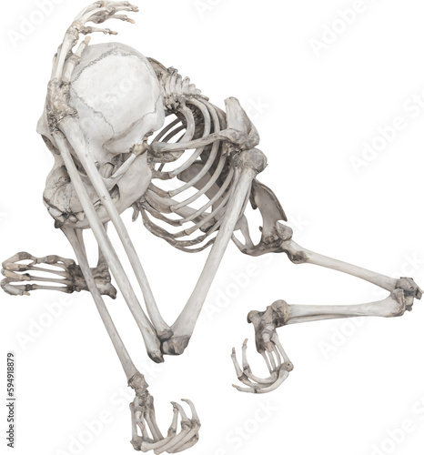 Isolated PNG cutout of an ape cub skeleton on a transparent background, ideal for photobashing, matte-painting, concept art