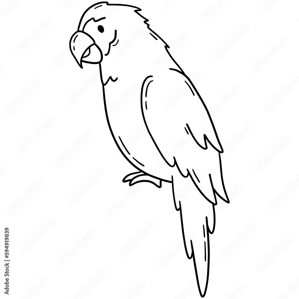 Ara macao parrot, tropical bird scarlet macaw vector icon in linear doodle style png Ara macao parrot, tropical bird scarlet macaw vector icon in linear doodle style png
