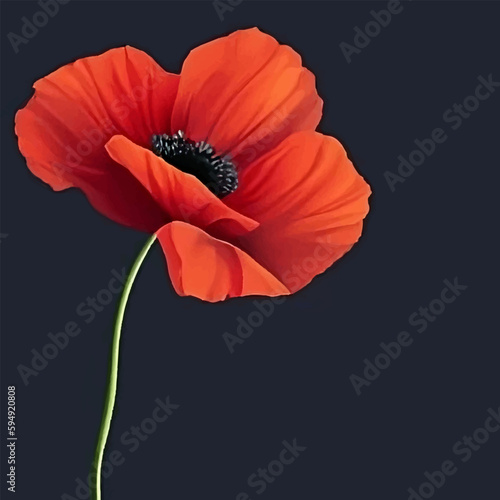 Vector banner with one red poppy on a black plain background with space for text. Memorial Day illustration
