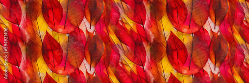 Macro texture of beautiful leaves in rainbow colors tones. AI generative illustration.