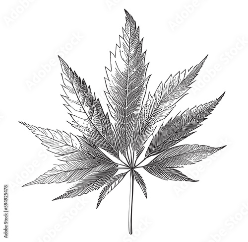 Marijuana leaf sketch hand drawn in doodle style Plant illustration