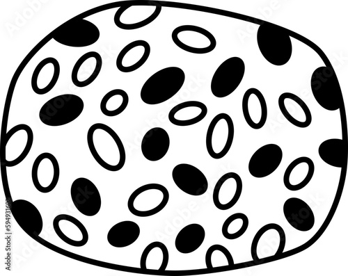 Sesame  icon