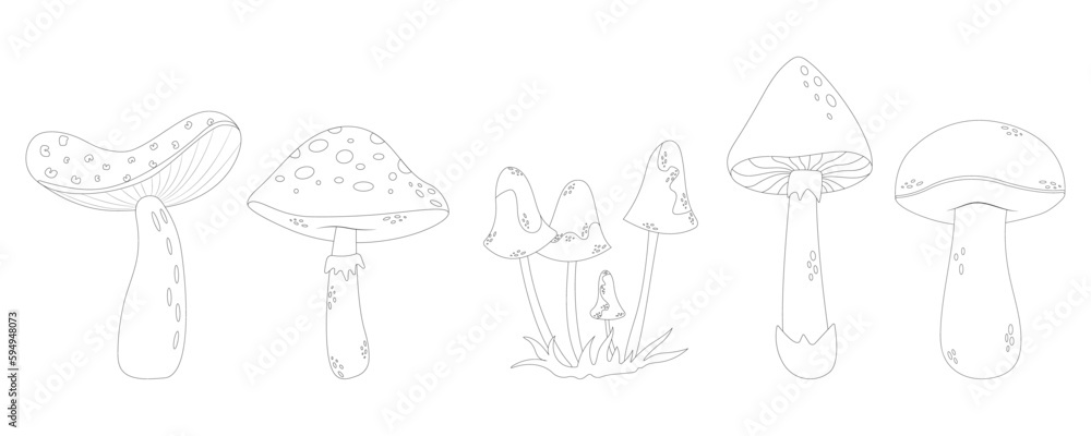 Mushrooms line art style. Hand drawn mushrooms no color. Mushrooms line art style. Hand drawn mushrooms no color.