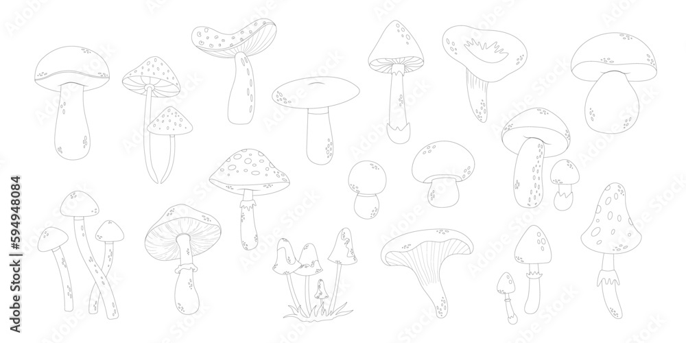 Mushrooms line art style. Hand drawn mushrooms no color. Mushrooms line art style. Hand drawn mushrooms no color.