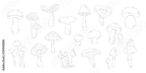 Mushrooms line art style. Hand drawn mushrooms no color.