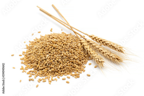 wheat grain and wheat photo