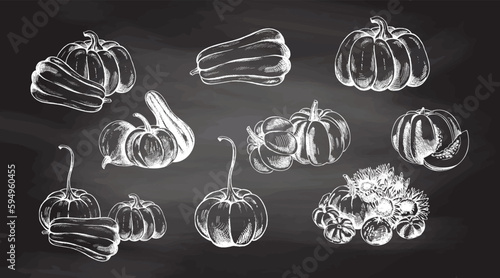 Vector hand drawn vegetable Illustration. Detailed retro style hand-drawn pumpkins sketch set  isolated on chalkboard background. Vintage sketch element for labels, packaging and cards design.