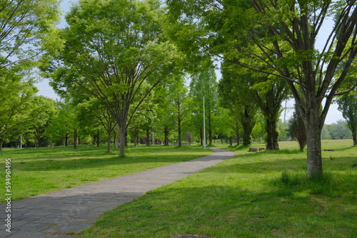 緑のある風景3