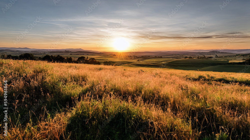 wheat field at sunset Generative AI