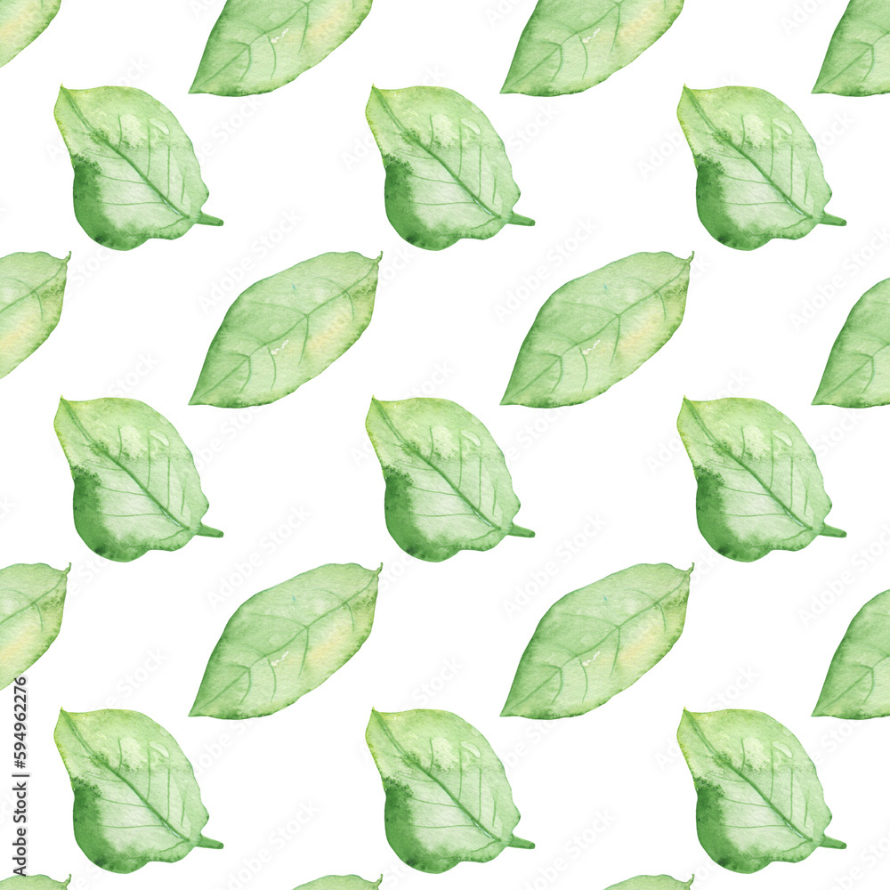 Pattern of watercolor green leaves elements.Botanical pattern solated on white background suitable for Wedding Invitation, save the date, thank you, or greeting card. Pattern of watercolor green leaves elements.Botanical pattern solated on white background suitable for Wedding Invitation, save the date, thank you, or greeting card.