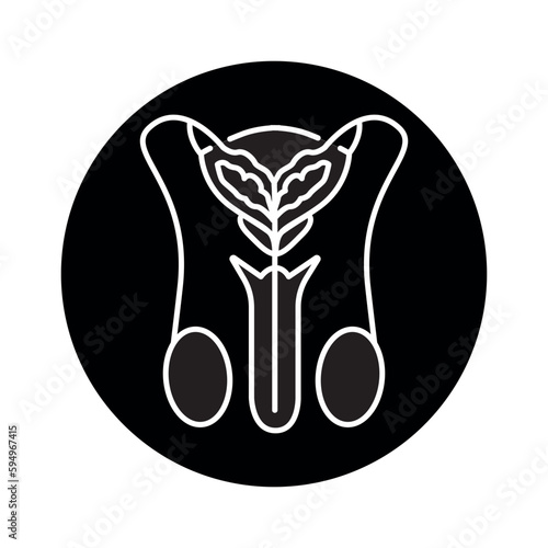 Male urinary system color line icon. Pictogram for web page