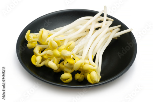 Pile of bean sprouts with white background