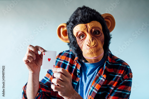 Photography Man wearing monkey mask and holding poker playing cards on blue background