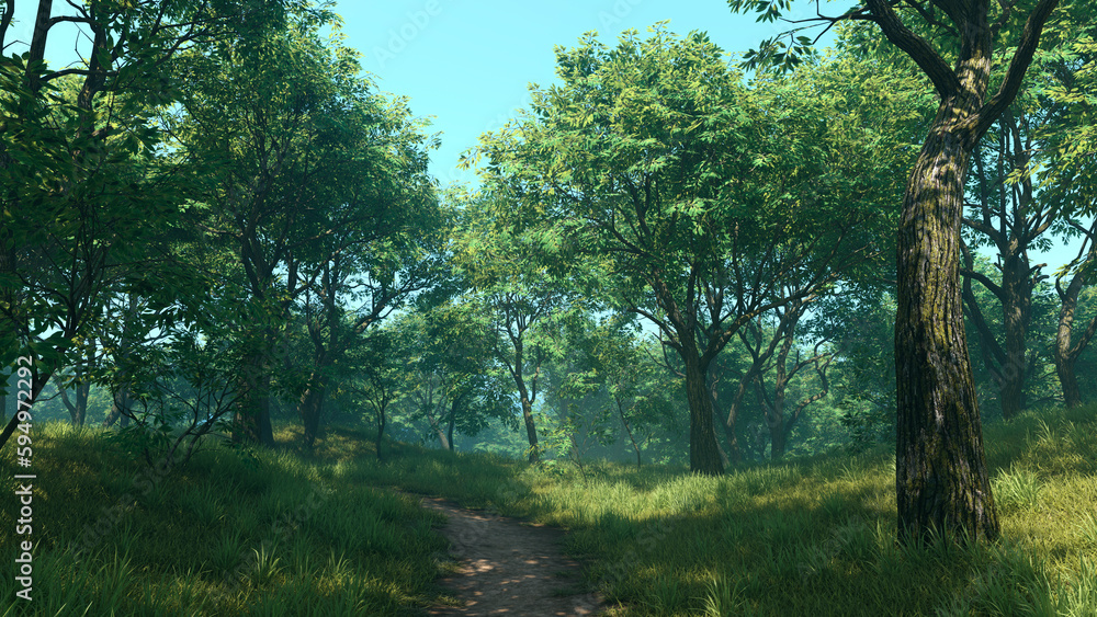 Naklejka premium 3D Rendering Path through Summer Forest