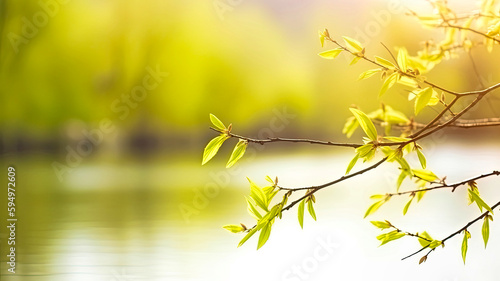 Green leaves background, leaves in the morning sun, leaves reflected in water © yaroslavartist