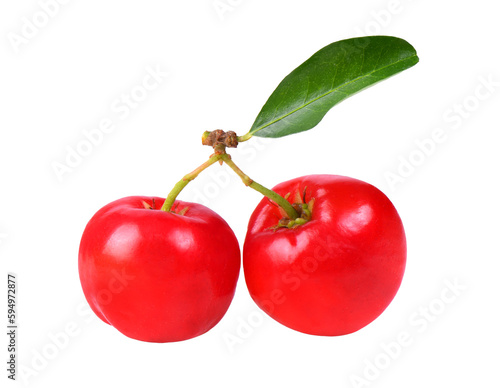 Barbados cherry, Malpighia emarginata, Family Malpighiaceae on transparent png photo