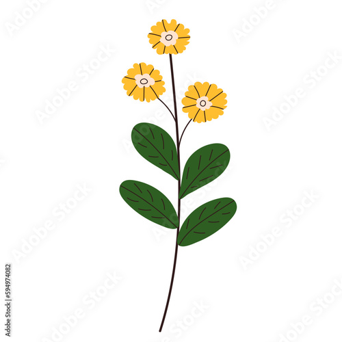 Fototapeta Naklejka Na Ścianę i Meble -  flower in doodle style isolated vector