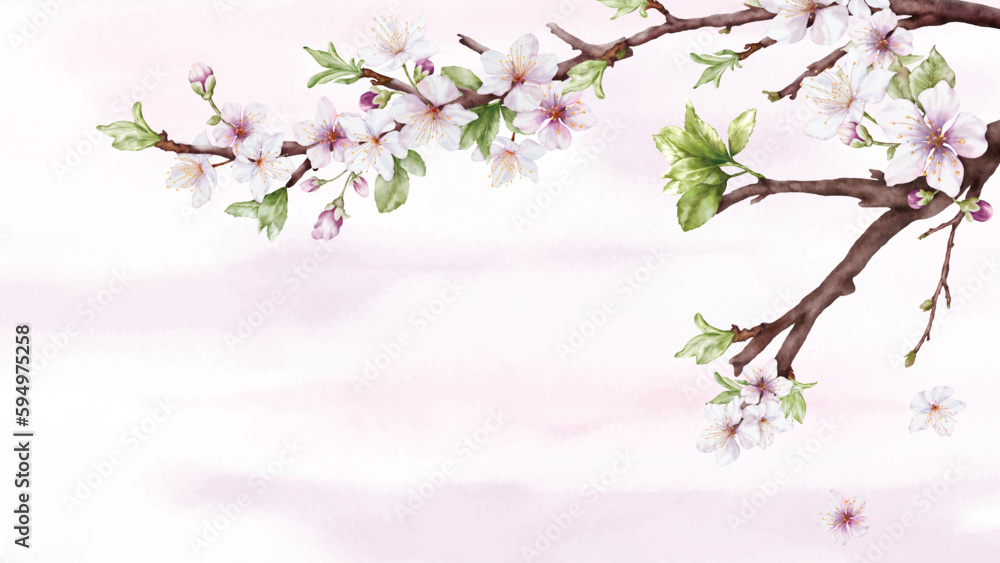 Watercolor art of Cherry blossom branch and pink sakura flower on stains background