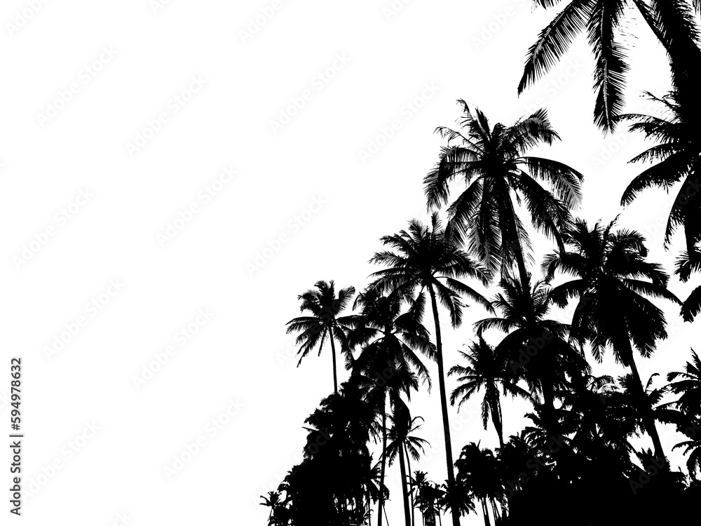 Obraz premium Silhoutte coconut trees isolated on white background.