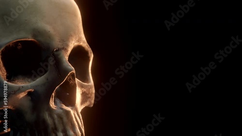 Closeup of a Human Skull. 3D cinematic.