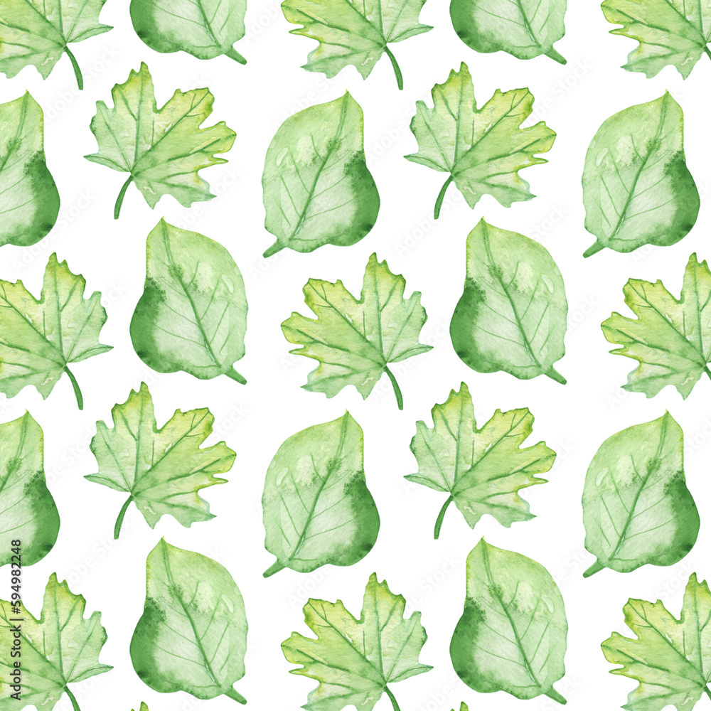 Pattern of watercolor green leaves elements.Botanical pattern solated on white background suitable for Wedding Invitation, save the date, thank you, or greeting card. Pattern of watercolor green leaves elements.Botanical pattern solated on white background suitable for Wedding Invitation, save the date, thank you, or greeting card.