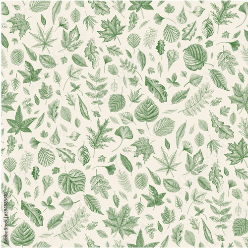 Leaves. Seamless pattern. Vector vintage illustration. Green and white