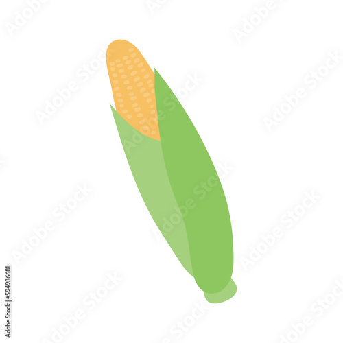 Summer squash, zucchini hand drawn illustration. Cartoon style flat design, isolated vector. Autumn print element, farming, gardening, harvest, agriculture, healthy food, vegetarian diet, ingredient